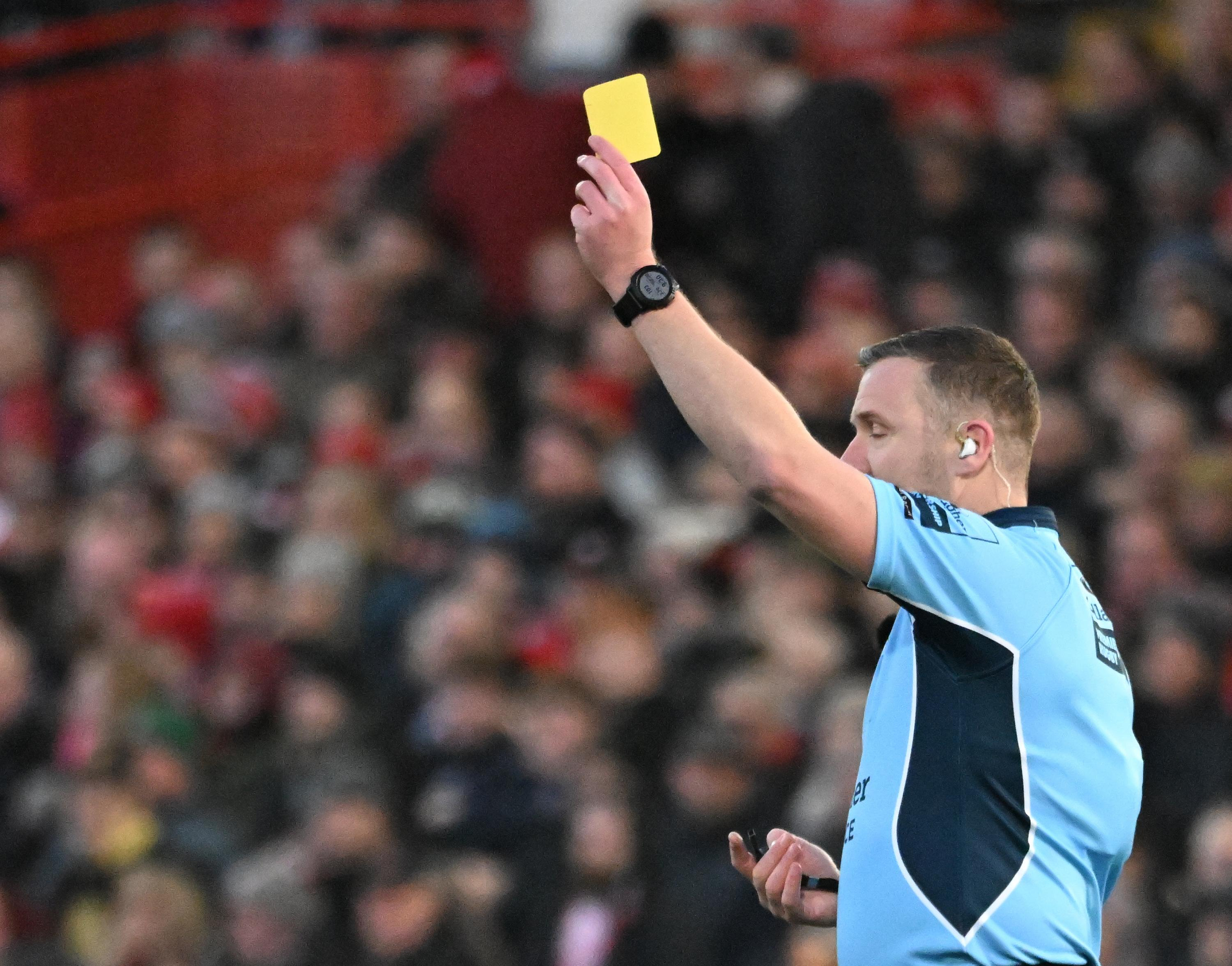 Rugby: insulted and threatened, the video referee of the World Cup final throws in the towel