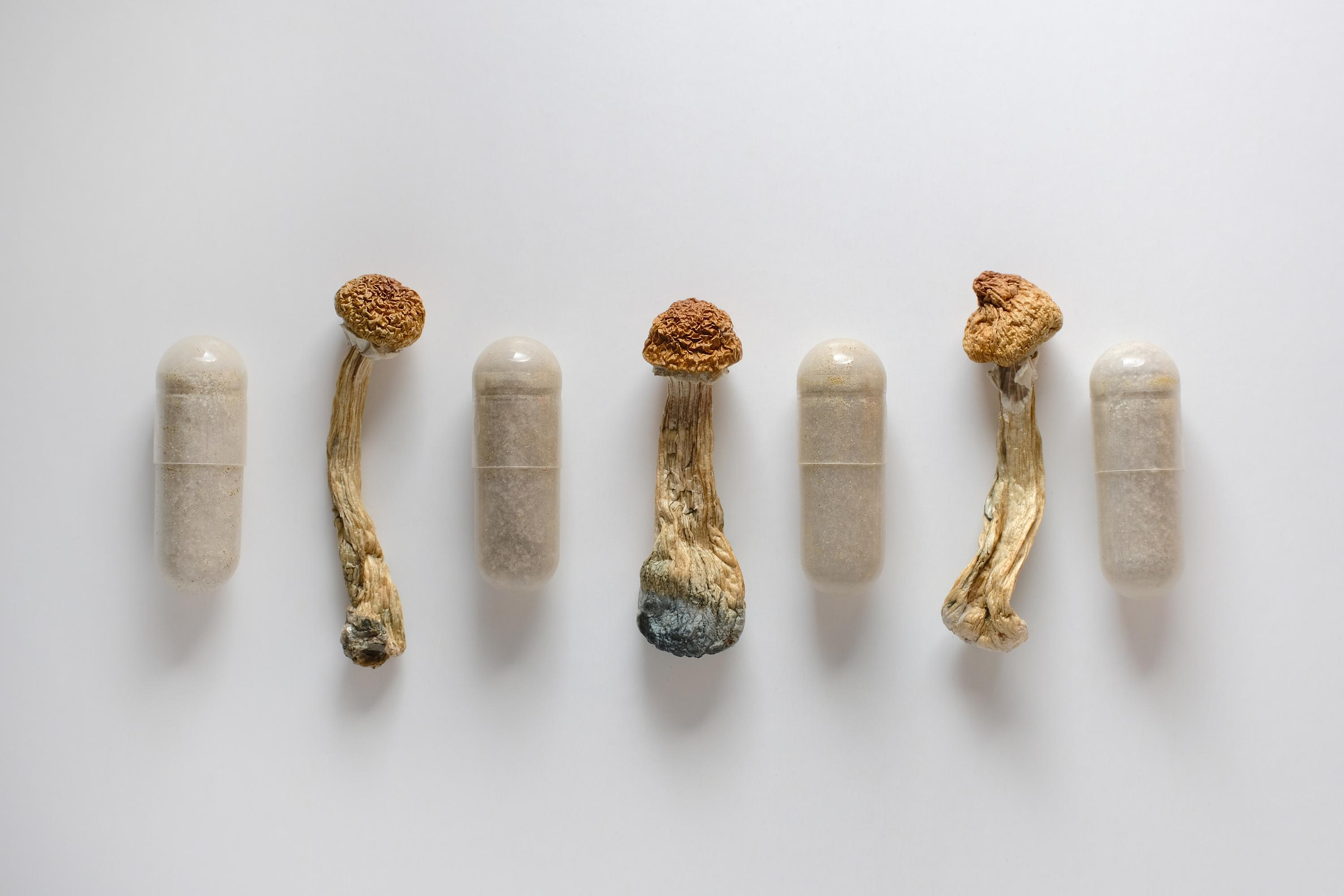 Hallucinogenic mushrooms: a first experiment carried out in France with psilocybin