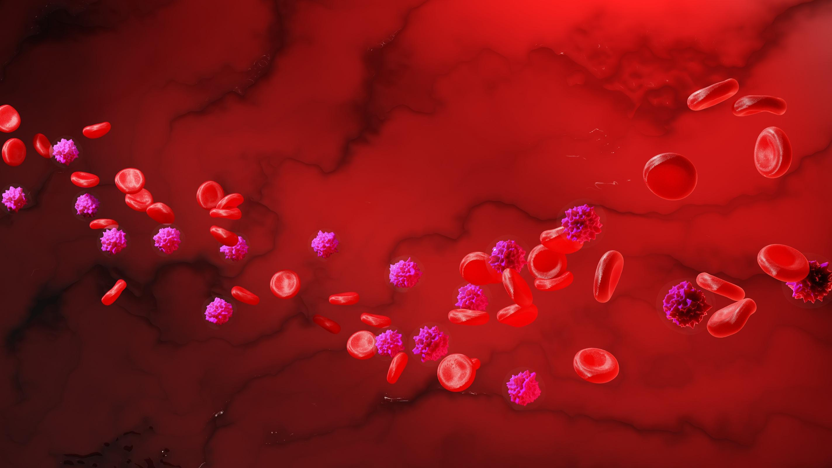 Blood stem cells, immune sentinels at the dawn of a therapeutic revolution