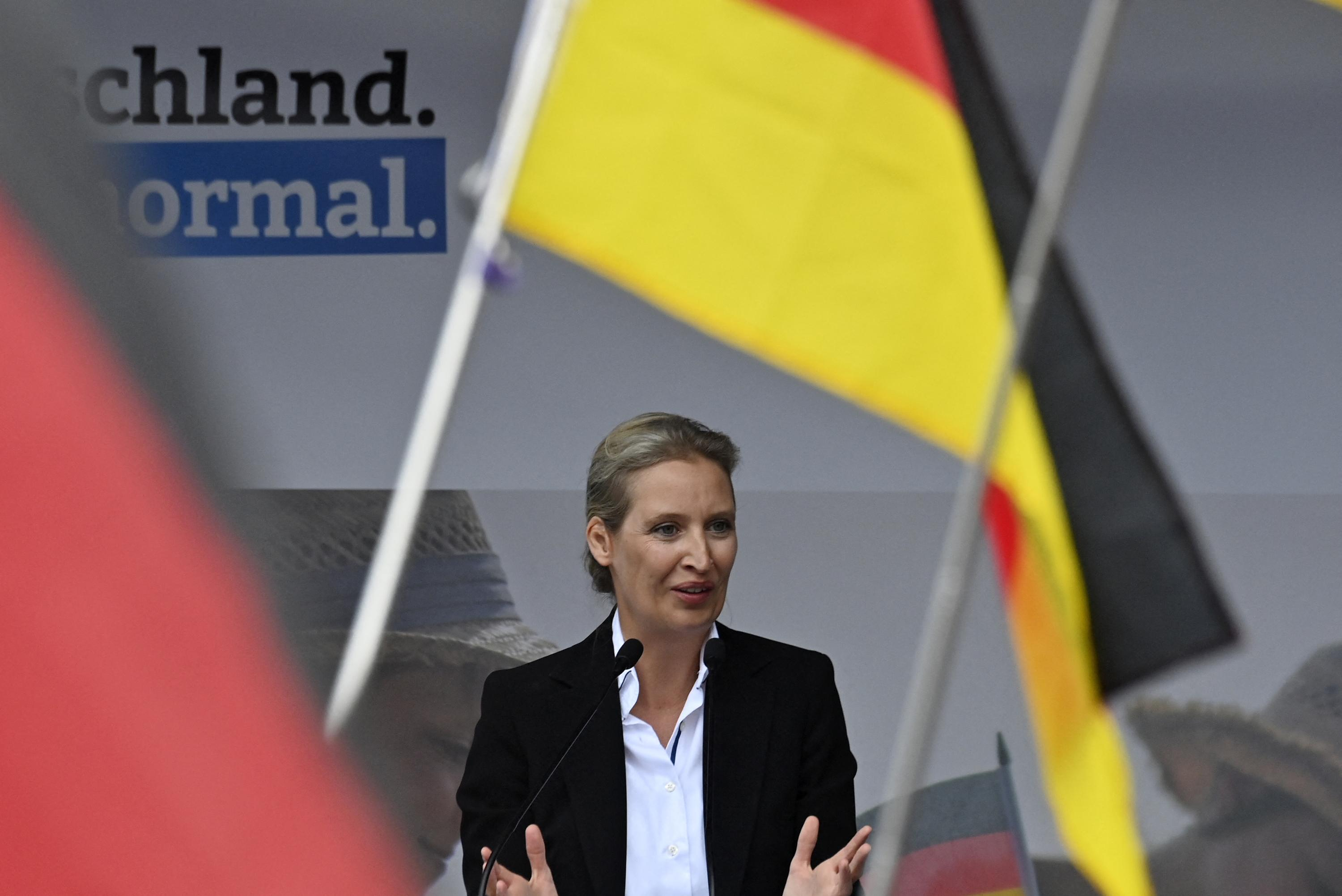 In Germany, the AfD is now the second political force in the country according to polls