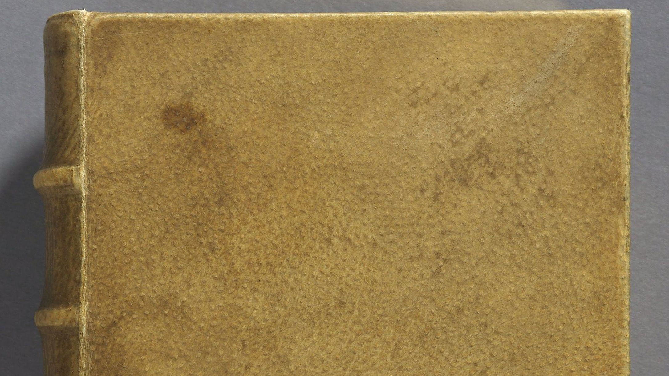 Harvard regrets the possession of a French book bound in human skin