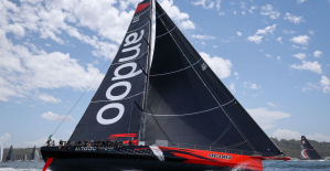 Sailing: Andoo Comanche and LawConnect neck and neck on the Sydney-Hobart
