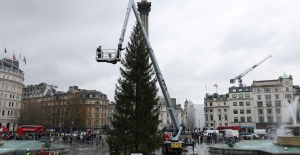 “Where is the second part of the tree?”, “It’s awful”: the Trafalgar Square Christmas tree mocked by Internet users