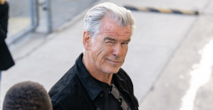 Pierce Brosnan fined for endangering his life in Yellowstone