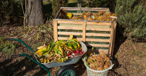 Compost: everything you need to know about sorting biowaste, which must become widespread from January 1, 2024