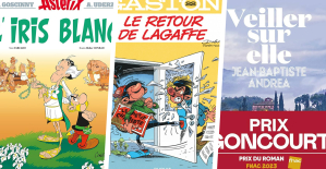 Asterix, Gaston Lagaffe and the Goncourt “Veiller sur elle” prize at the top of the best-selling books of 2023