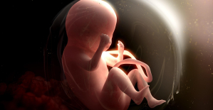 During childbirth, a mysterious dialogue between the cells of the fetus and those of its mother