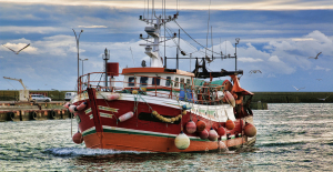 The European Court of Justice confirms fishing quotas contested by NGOs