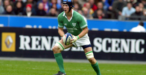 Six nations: France-Ireland “would have made a good final” of the World Cup, regrets Simon Easterby