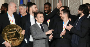 Euro handball: “You hate losing”, Emmanuel Macron received the Blues at the Elysée