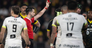 Top 14: Rochelais Lavault suspended for one match, Toulonnais Rebbadj requalified