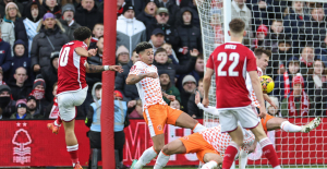 Football: in video, the magnificent goals scored by Bamford and Gibbs-White in the FA Cup