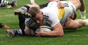 Champions Cup: O’Gara announces that Bourgarit, injured in the shoulder, will be absent “between three and four months”