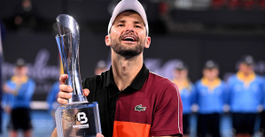 Tennis: Dimitrov wins his first title in six years in Brisbane
