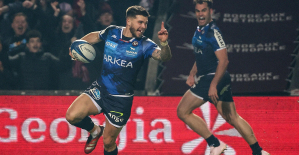 Champions Cup: at what time and on which channel to watch Bulls-UBB?