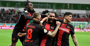German Cup: winner of Stuttgart, Leverkusen reaches the semi-final