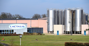 Milk price: Lactalis accused of “unfair practices” in Italy