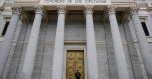 Congress plans to raise the salary of deputies by 2.5% in 2024