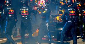 Formula 1: in video, the retirement of Max Verstappen in Melbourne due to mechanical failure
