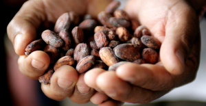 The price of cocoa reaches a new historic record, at $10,000 per tonne in New York