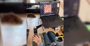A quadriplegic man manages to control his computer with his thoughts, thanks to a Neuralink implant