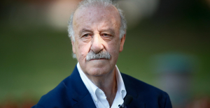 Football: Del Bosque in charge of the Spanish Federation's supervisory committee