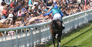 Horse racing: winner at Auteuil, jockey James Reveley claims his residence permit... from Emmanuel Macron
